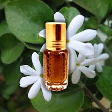 Kewra Fragrance